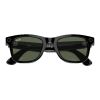 Ray-Ban Meta Smart Glasses Wayfarer Black/Green G15