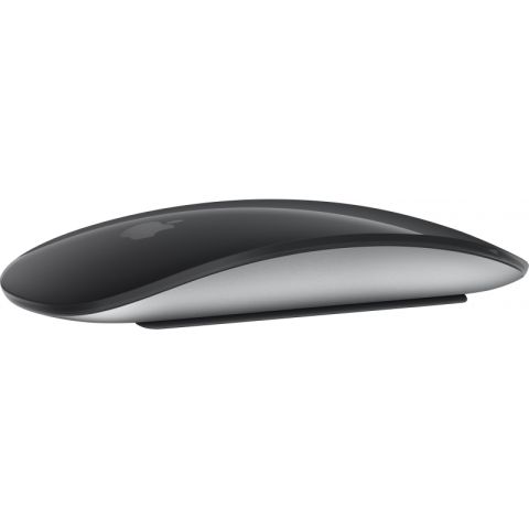 Magic Mouse 2 Grey